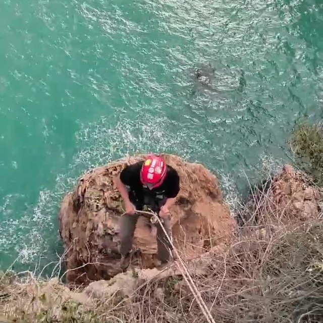 Falezlerde mahsur kalan kediyi film gibi operasyonla kurtardılar