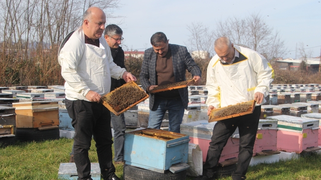 Türkiye'de en fazla bal üretiminin yapıldığı Ordu'da arıcılar sezona hazırlanıyor
Bahar bakımına hazırlanan arıcılar, bakanlık tarafından yapılan desteklemelerden memnun