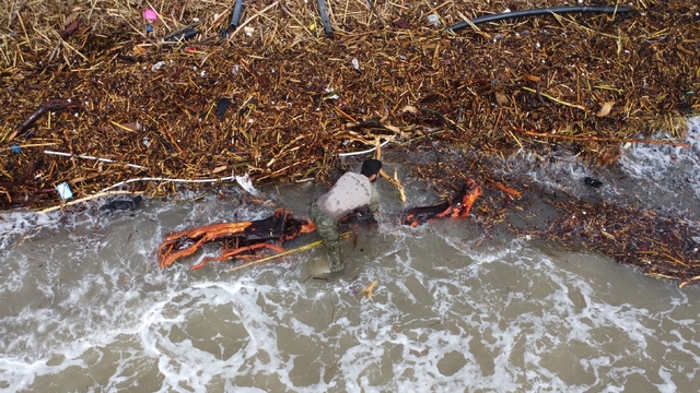 Sel sonrası 'milyonluk' yazlıkların önünde 'ekmek' mücadelesi
Mersin'de derelerden selle gelen odunları toplamak için bazı vatandaşlar denize girdi, bazıları ise hızarlarla keserek taşıdı