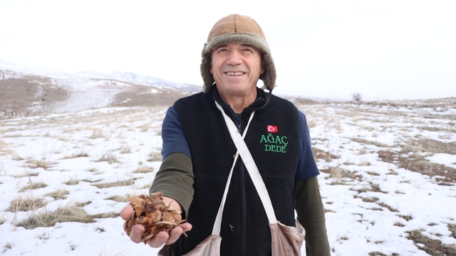 Kayseri'nin 'Ağaç Dede'si 1 milyondan fazla fidanı toprakla buluşturdu