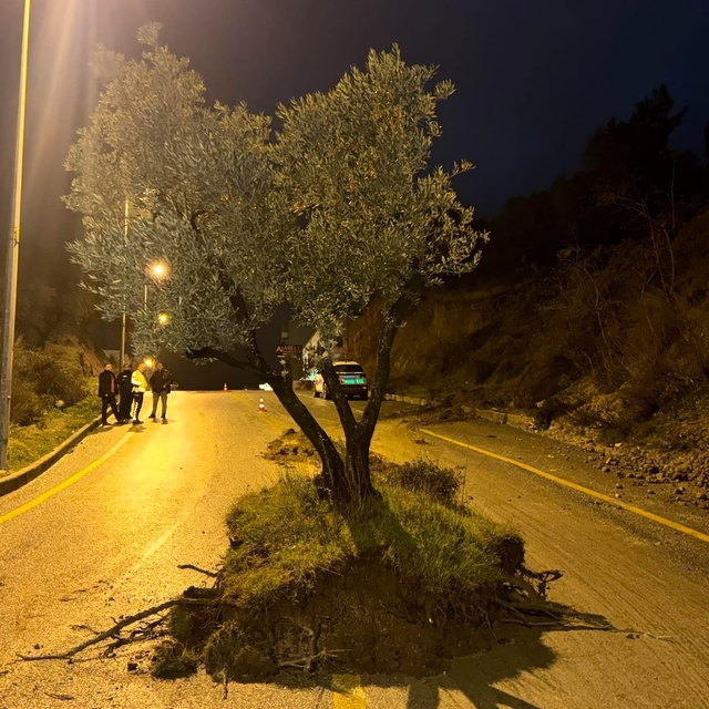 Dağdan kopan zeytin ağacı karayolunu ikiye böldü
Aydın'da sele kapılan zeyt...