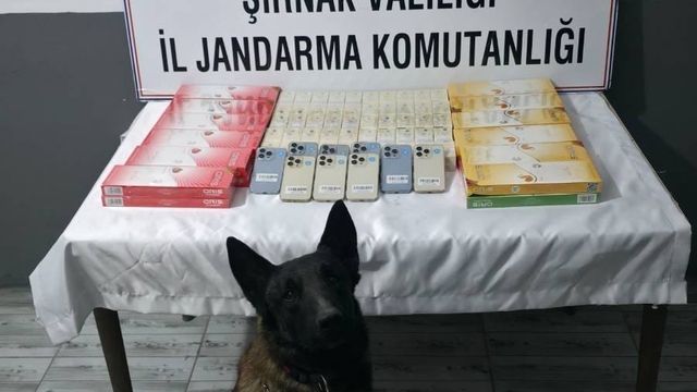 Şırnak'ta kaçakçılık ve asayiş operasyonlarında 103 şüpheli hakkında işlem yapıldı