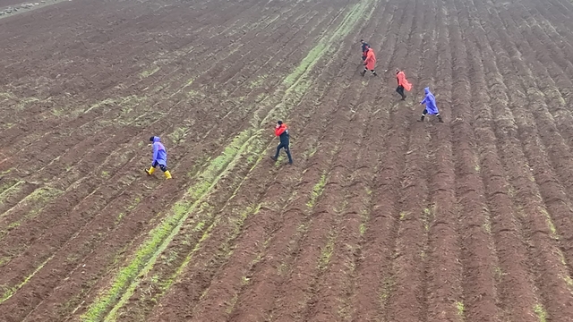 Diyarbakır'da kaybolan kadını arama çalışmaları 12'nci gününde sürüyor