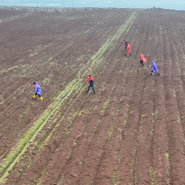 Diyarbakır'da kaybolan kadını arama çalışmaları 12'nci gününde sürüyor