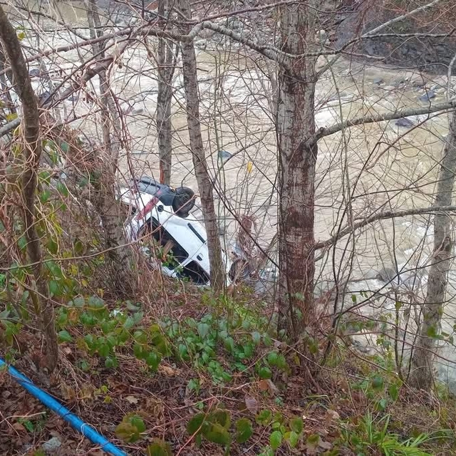 Dereye yuvarlanan hafif ticari aracın sürücüsü öldü