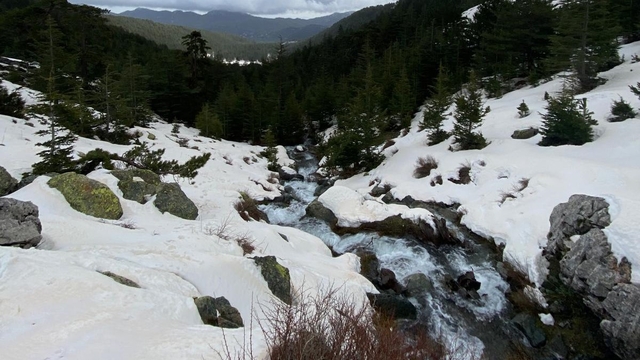 Eriyen kar ve yağmur suları su kaynaklarını coşturdu
Beyşehir'de doğaseverler etkileyici manzaraları görüntüledi