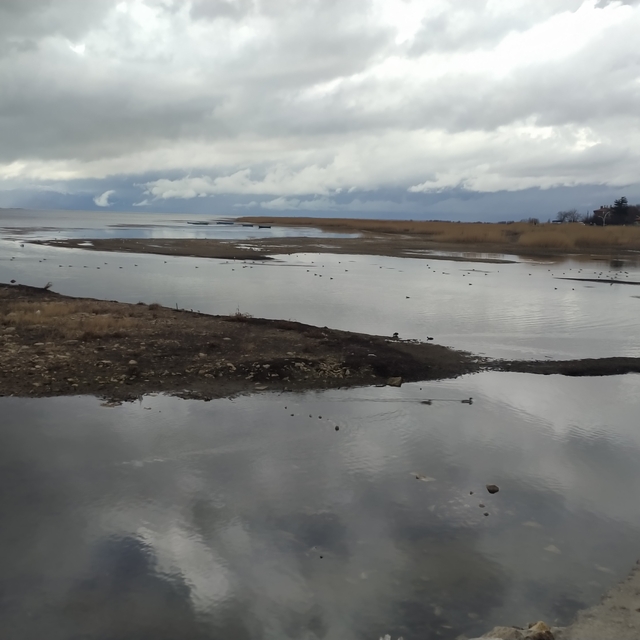 Son yağışlar Beyşehir Gölüne umut oldu