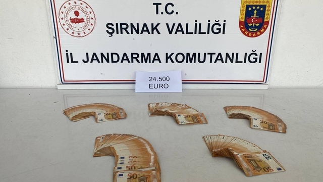 Şırnak'ta jandarmadan kaçakçılığa büyük darbe