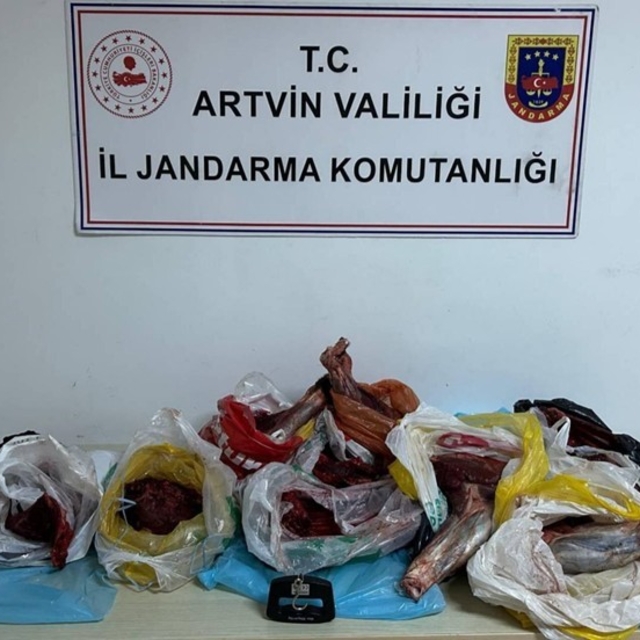 Artvin'de 60 kilo yaban domuzu eti ele geçirildi