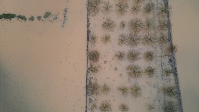 Muğla'da sağanak etkili oluyor