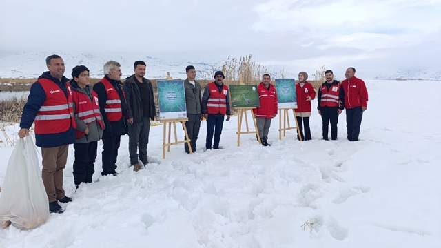 Van'da yaban hayvanları unutulmadı