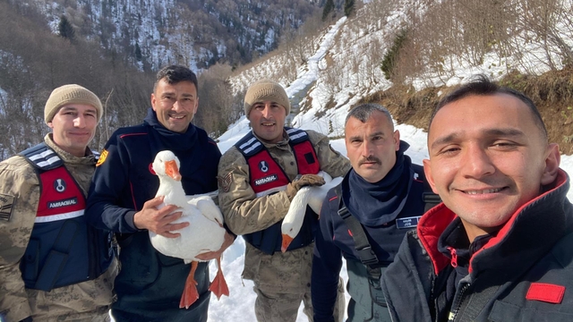 Kaybolan kazları ekipler buldu