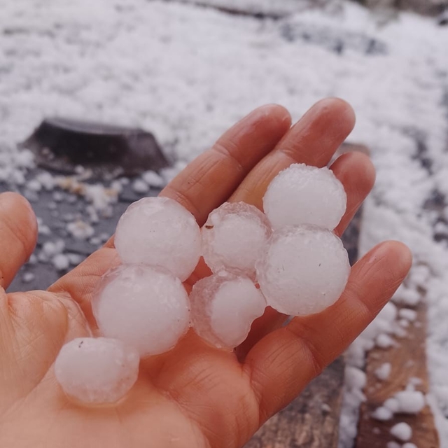 Mersin'de dolu: Ekili alanlar zarar gördü