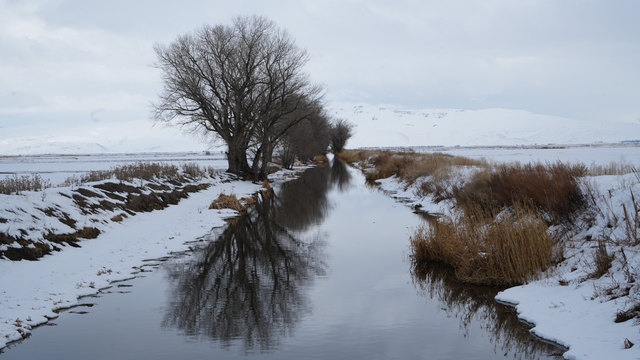 Erzurum'da kar yağışı etkili oluyor