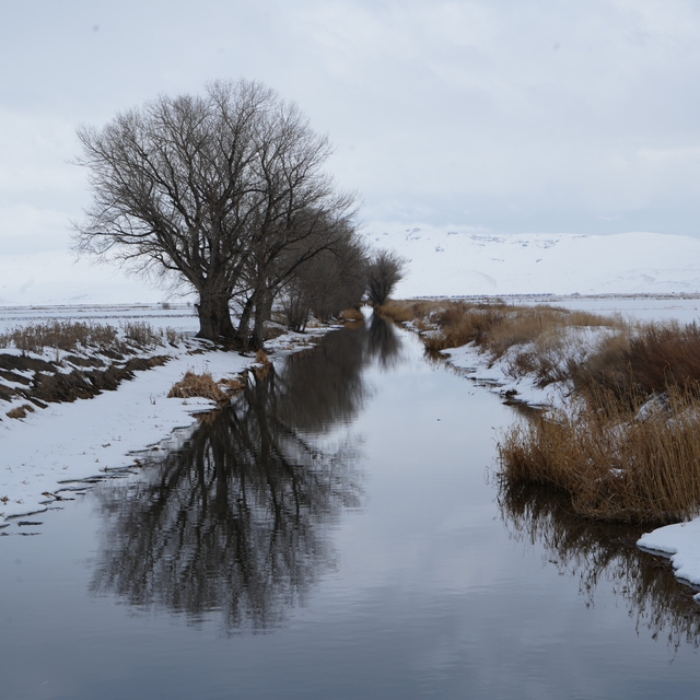 Erzurum'da kar yağışı etkili oluyor