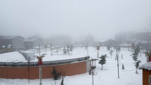Hakkari'de karla karışık yağmur ve sis etkili oldu