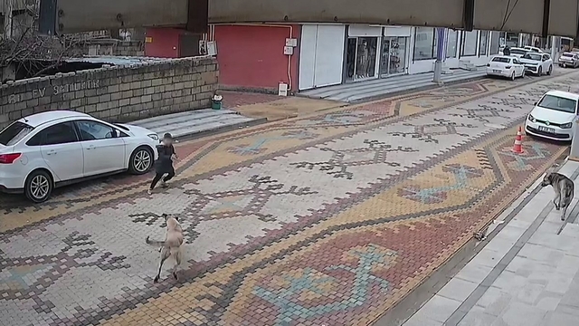 Mardin'de sokak köpeklerinin saldırdığı çocuğu esnaf kurtardı