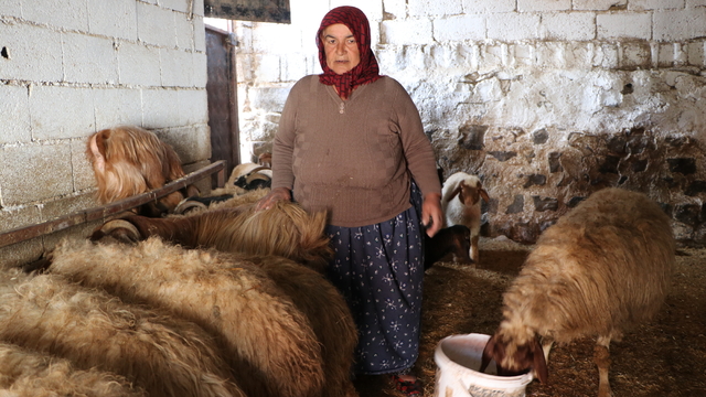 6 ŞUBAT DEPREMLERİNİN ÜÇÜNCÜ YILI
- Depremzede besiciler devlet desteğiyle hayvancılığı sürdürüyor