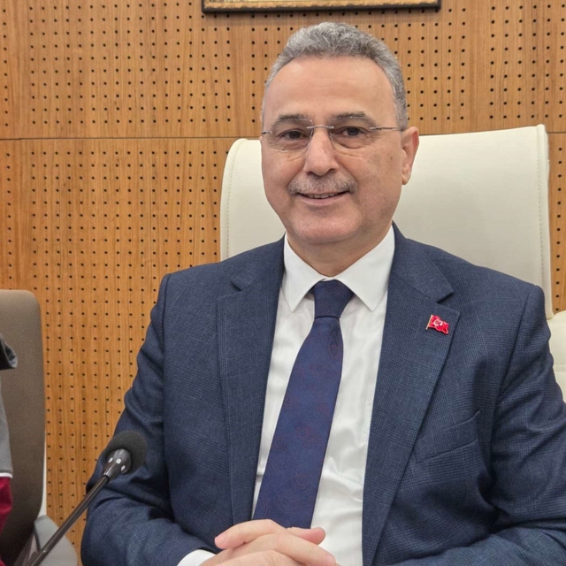 Samsun'da konteynerde bulunan 9 köpekle ilgili rapor açıklandı: "Doğal ölüm...