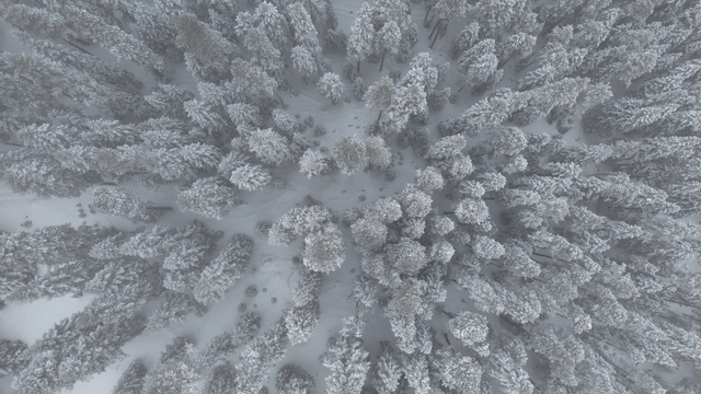 Kastamonu'nun yüksek kesimlerinde kar yağışı etkili oldu