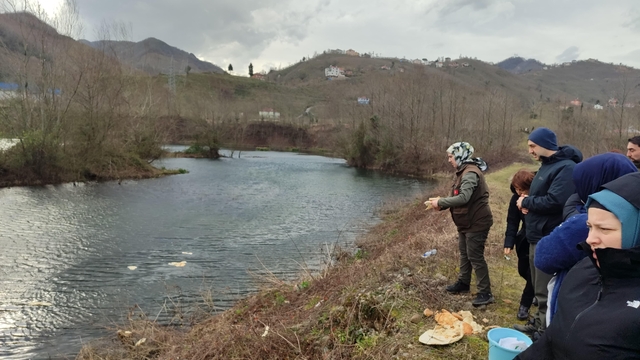 Giresun'da su kuşları için doğaya yem bırakıldı