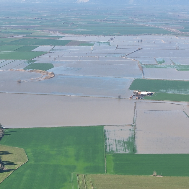 Menderes taştı, yüzlerce dönüm sular altında kaldı