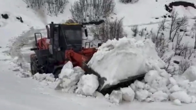 Yedisu'da kar kalınlığı 1 metreyi aştı, ekiplerin mücadelesi sürüyor