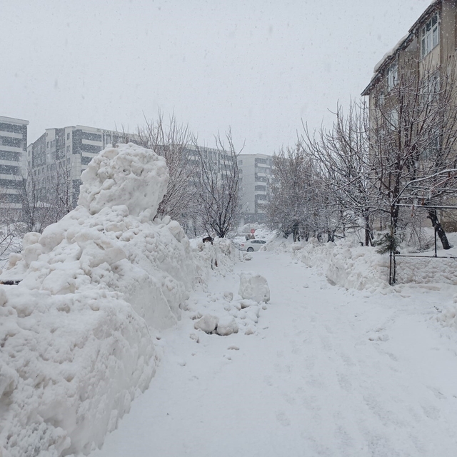 Bitlis'te kar yağışı yeniden etkili olmaya başladı