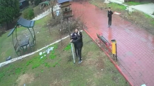 Kuş yuvasını parçalayan çocuklara ev hapsi