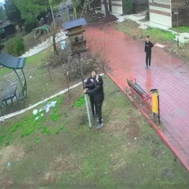 Kuş yuvasını parçalayan çocuklara ev hapsi