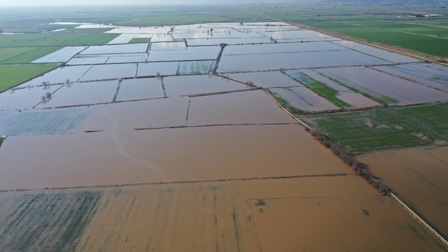 Büyük Menderes Nehri'nin bazı bölümlerinde taşkınlar yaşandı