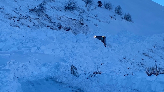 Vali Ergün: "Arama kurtarma çalışmaları durmadı, çığ riski sebebiyle ara verildi"
"Çığ simülasyonları güvenli kaçış süresi 10-15 saniye"
