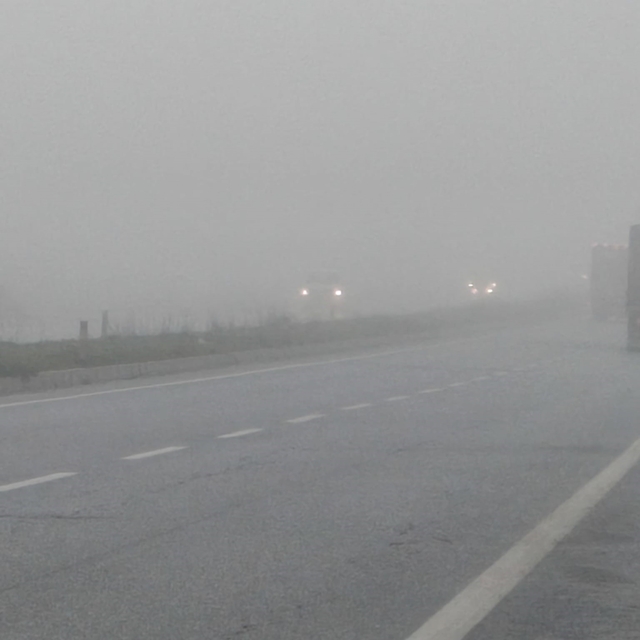 Aydın'da sis sürücülere zor anlar yaşatıyor