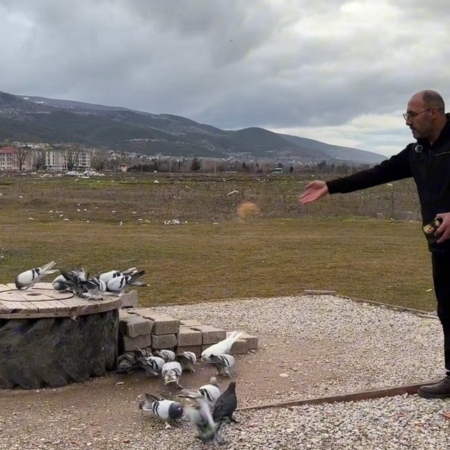 Kütahya'nın güvercin sevdalıları
Bir güvercin fiyatı 100 bin TL'ye kadar sa...