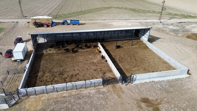 Genç girişimci devletten aldığı destekle besi çiftliği kurdu