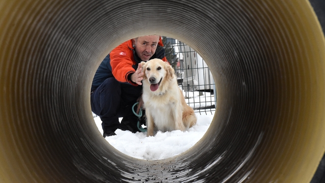 6 ŞUBAT DEPREMLERİNİN ÜÇÜNCÜ YILI - Yaralı patileriyle 6 kişiye umut olan "Köpük" eğitimlerle yeni görevlere hazırlanıyor