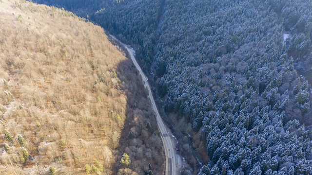Bolu ve Düzce'nin yüksek kesimlerine kar yağdı