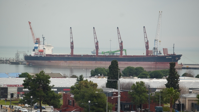 Samsun gümrüğünden en çok meyve ihraç edildi, motorin ithal edildi