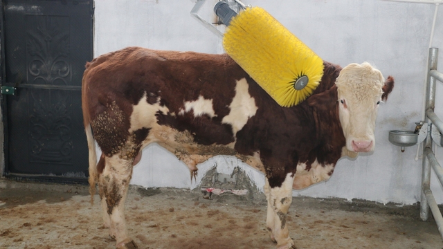 IPARD III ile Erzincan tarımına 178 milyon TL'lik yatırım desteği