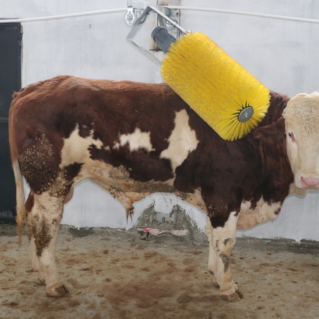 IPARD III ile Erzincan tarımına 178 milyon TL'lik yatırım desteği