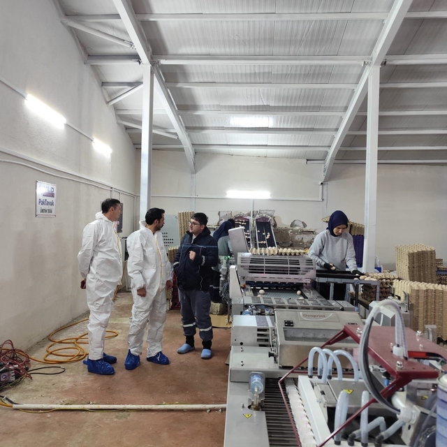 Çavdarhisar'da ticari yumurtacı kanatlı işletmesinde inceleme