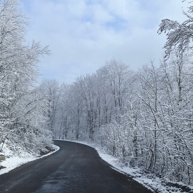 Ordu'nun yüksek kesimlerinde kar manzarası