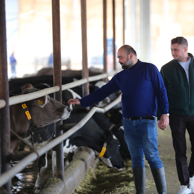 6 ŞUBAT DEPREMLERİNİN ÜÇÜNCÜ YILI - Hatay'da depremde hayvanlarını kaybeden...