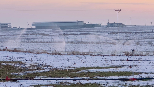 Karla kaplı arazide kaçak elektrikle sulama