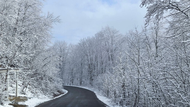 Ordu'nun yüksek kesimlerinde kar manzarası