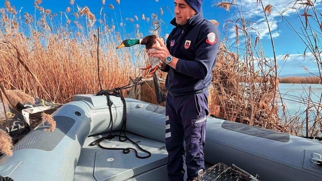 Bursa'da kaçak avcılara 431 bin 979 lira idari para cezası kesildi