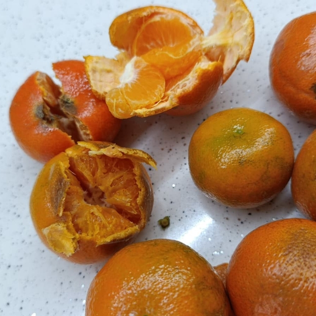 Pazardan aldığı 2 kilo mandalinanın yarısı çürük çıktı