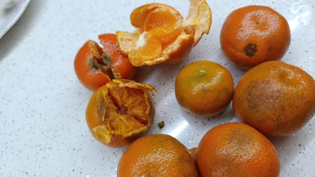 Pazardan aldığı 2 kilo mandalinanın yarısı çürük çıktı