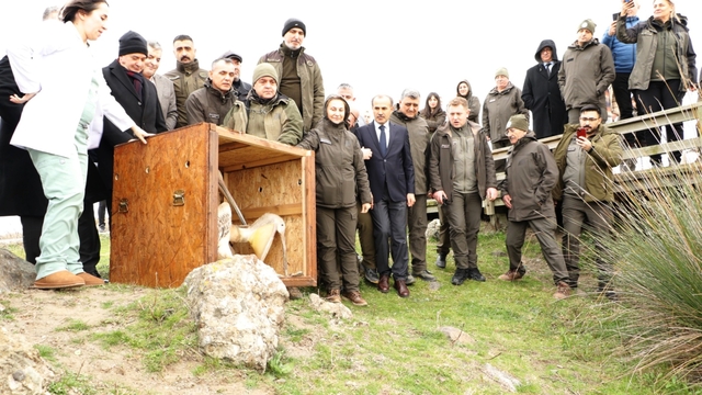 81 binden fazla göçmen kuş halkalandı
