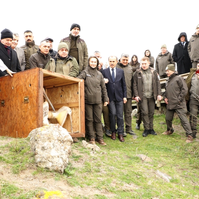 81 binden fazla göçmen kuş halkalandı